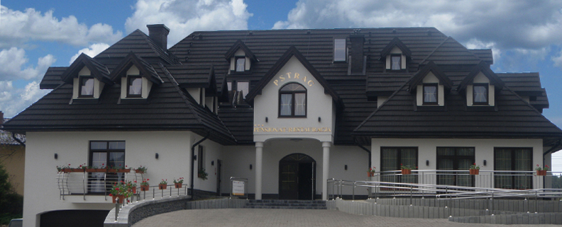 Skaidrė 1